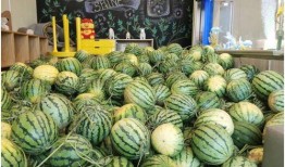 免费吃瓜最新,揭秘网络热点的幕后故事